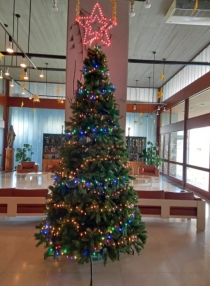 nostro_albero_1.jpg