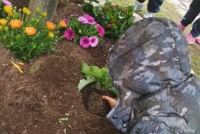 earth_day_2_6.jpg
