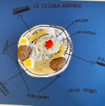 corpo_umano_14.jpg