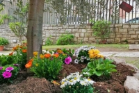 earth_day_6.jpg