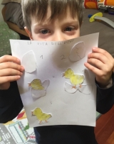 pulcino_pasqua_8.jpg